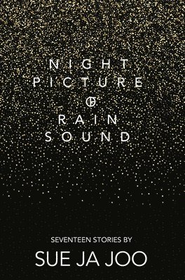 bokomslag Night Picture of Rain Sound