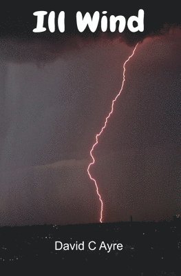bokomslag Ill Wind
