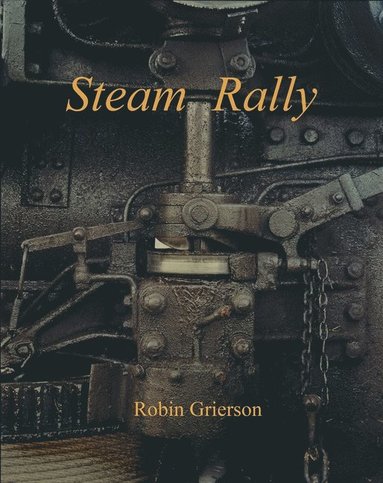 bokomslag Steam Rally