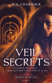bokomslag Veil of Secrets