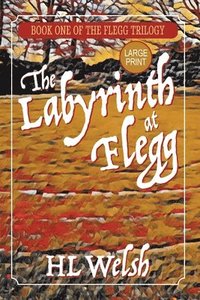 bokomslag The Labyrinth at Flegg