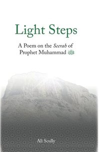 bokomslag Light Steps