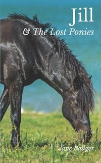 bokomslag Jill and the Lost Ponies