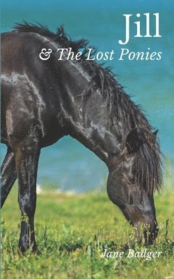 Jill and the Lost Ponies 1