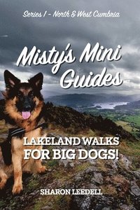 bokomslag Misty's Mini Guides