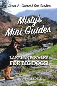 bokomslag Misty's Mini Guides