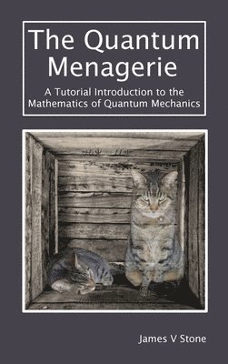 James V Stone, James V. Stone, James V, Stone - Quantum Menagerie, Inbunden