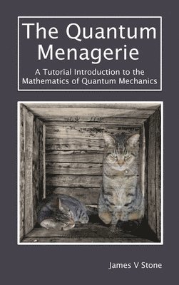 The Quantum Menagerie 1