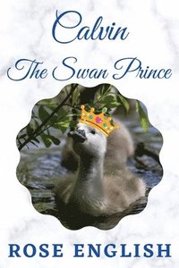 bokomslag Calvin The Swan Prince