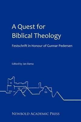 bokomslag A Quest for Biblical Theology