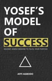 bokomslag Yosef's Model of Success