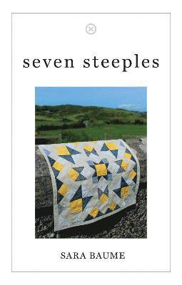 bokomslag Seven Steeples