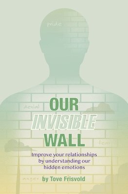 Our Invisible Wall 1