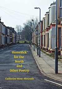 bokomslag Homesick for the North and Other Poetry
