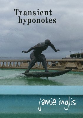 bokomslag Transient hyponotes