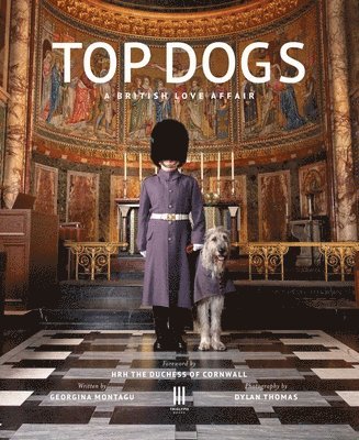 Top Dogs 1