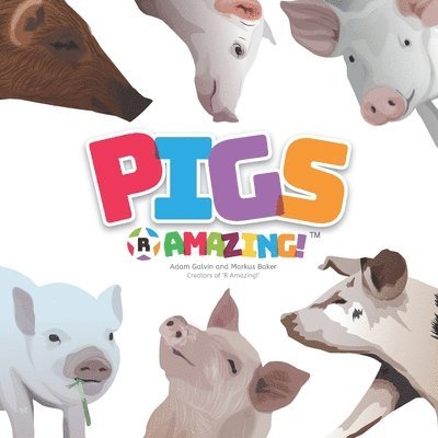 Pigs R Amazing! 1