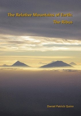 bokomslag Relative Mountains of Earth