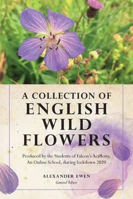 Collection of English Wild Flowers