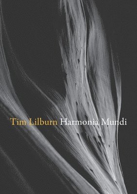 bokomslag Harmonia Mundi