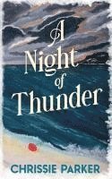 bokomslag Night of Thunder