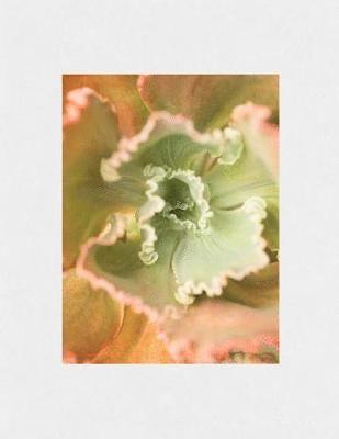 Mona Kuhn - Bushes & Succulents, Inbunden