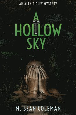 bokomslag A Hollow Sky