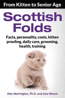 Scottish Folds 1