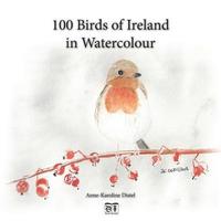 bokomslag 100 Birds of Ireland in Watercolour