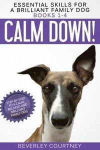 bokomslag Essential Skills for a Brilliant Family Dog