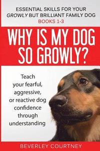 bokomslag Essential Skills for your Growly but Brilliant Family Dog