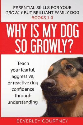 Essential Skills for your Growly but Brilliant Family Dog 1