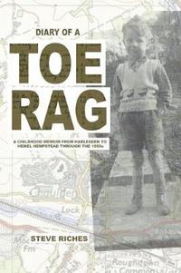 bokomslag Diary of a Toe Rag