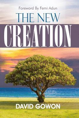 bokomslag The New Creation