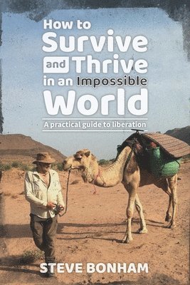 bokomslag How to Survive and Thrive in an Impossible World: A Practical Guide to Liberation