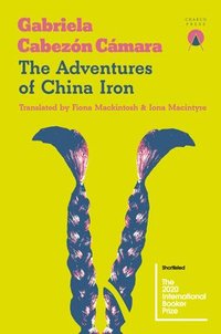 bokomslag The Adventures of China Iron