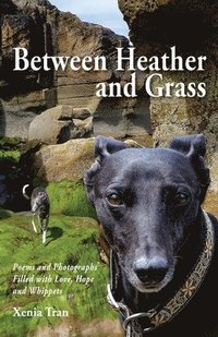 bokomslag Between Heather and Grass