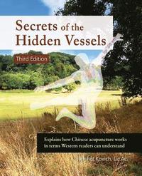 bokomslag Secrets of the Hidden Vessels