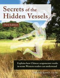 bokomslag Secrets of the Hidden Vessels