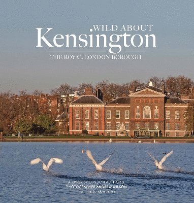 bokomslag Wild about Kensington