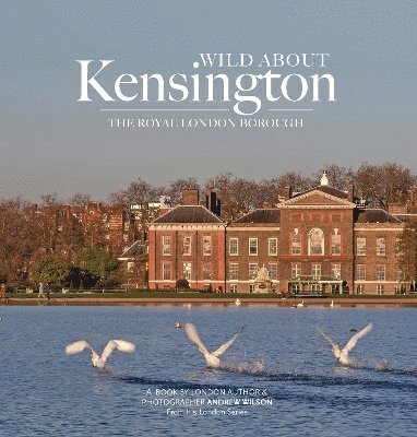 Andrew Wilson - Wild about Kensington, Inbunden
