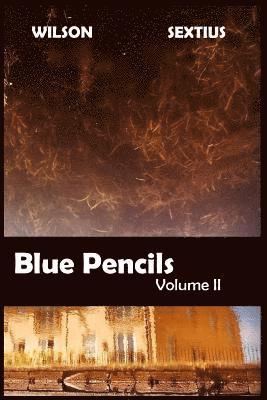 bokomslag Blue Pencils