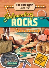 bokomslag Sedimentary Rocks