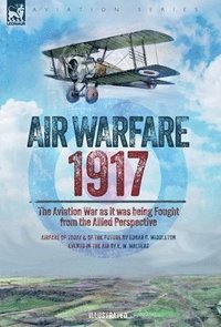 bokomslag Air Warfare, 1917 - The Aviation War as it was being Fought from the Allied Perspective