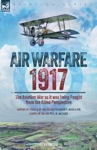 bokomslag Air Warfare, 1917 - The Aviation War as it was being Fought from the Allied Perspective