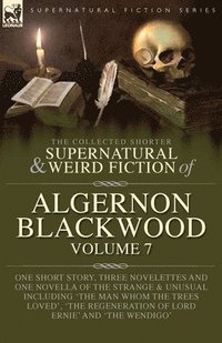 bokomslag The Collected Shorter Supernatural & Weird Fiction of Algernon Blackwood Volume 7