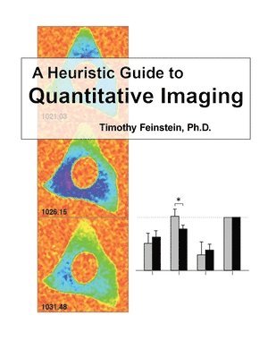 Timothy Feinstein, Timothy Feinstein, PHD - Heuristic Guide to Quantitive Imaging, Häftad
