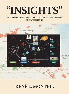 bokomslag "Insights"