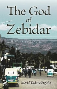 bokomslag God of Zebidar