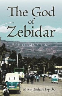 bokomslag The God of Zebidar